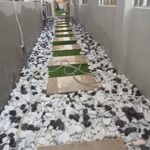 490411445_1099570835521722_1419017480672889777_n